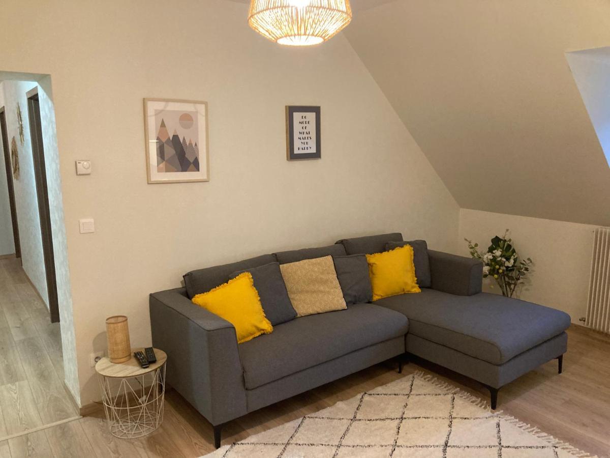 Les Moulins Tres Agreable Et Idealement Situe Appartement Colmar Buitenkant foto